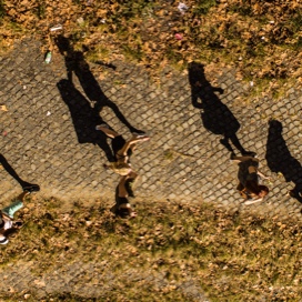 Several people walking down a stone path, long shadows indicate it is later in the day.